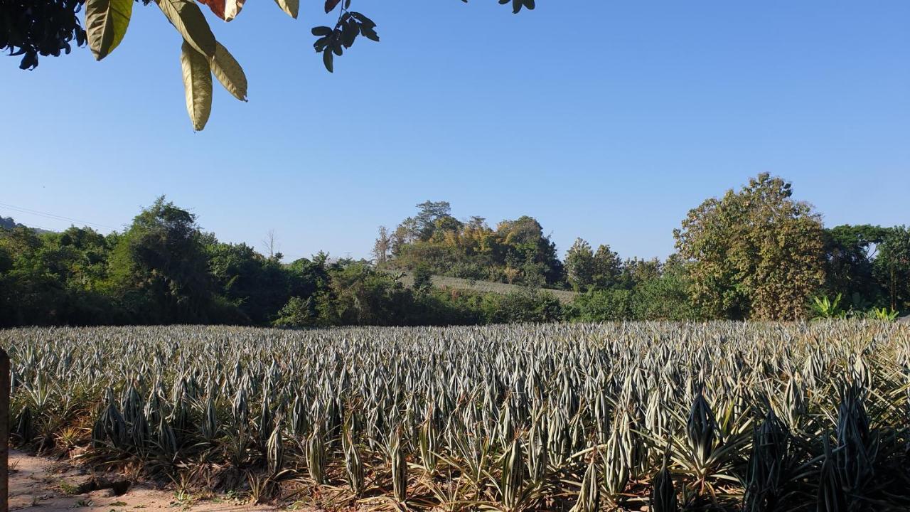 จำค่า ชาเลท์ บ้านพักสวนเกษตร Lampang Dış mekan fotoğraf